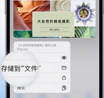 兰西apple维修中心分享iPhone文件应用中存储和找到下载文件