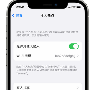 兰西apple服务站点分享iPhone上个人热点丢失了怎么办 