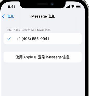 兰西apple维修iPhone上无法正常发送iMessage信息 