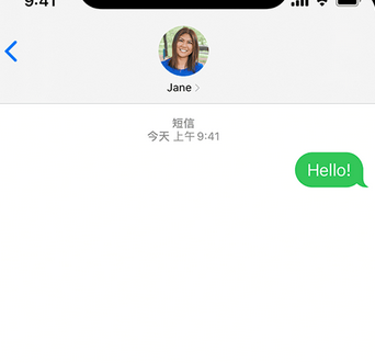 兰西apple维修iPhone上无法正常发送iMessage信息