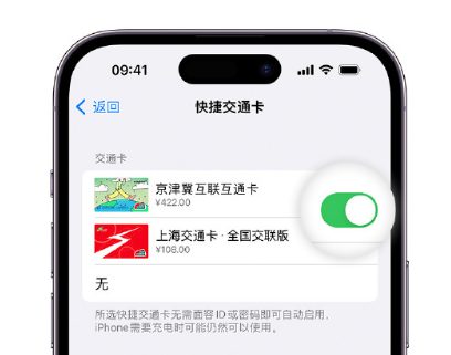 兰西apple维修点分享iPhone上更换Apple Pay快捷交通卡手绘卡面 