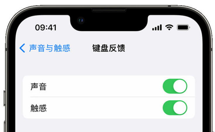 兰西苹果手机维修分享iPhone 14触感键盘使用方法 