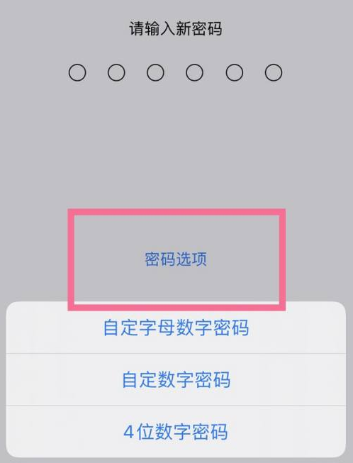 兰西苹果14维修分享iPhone 14plus设置密码的方法 