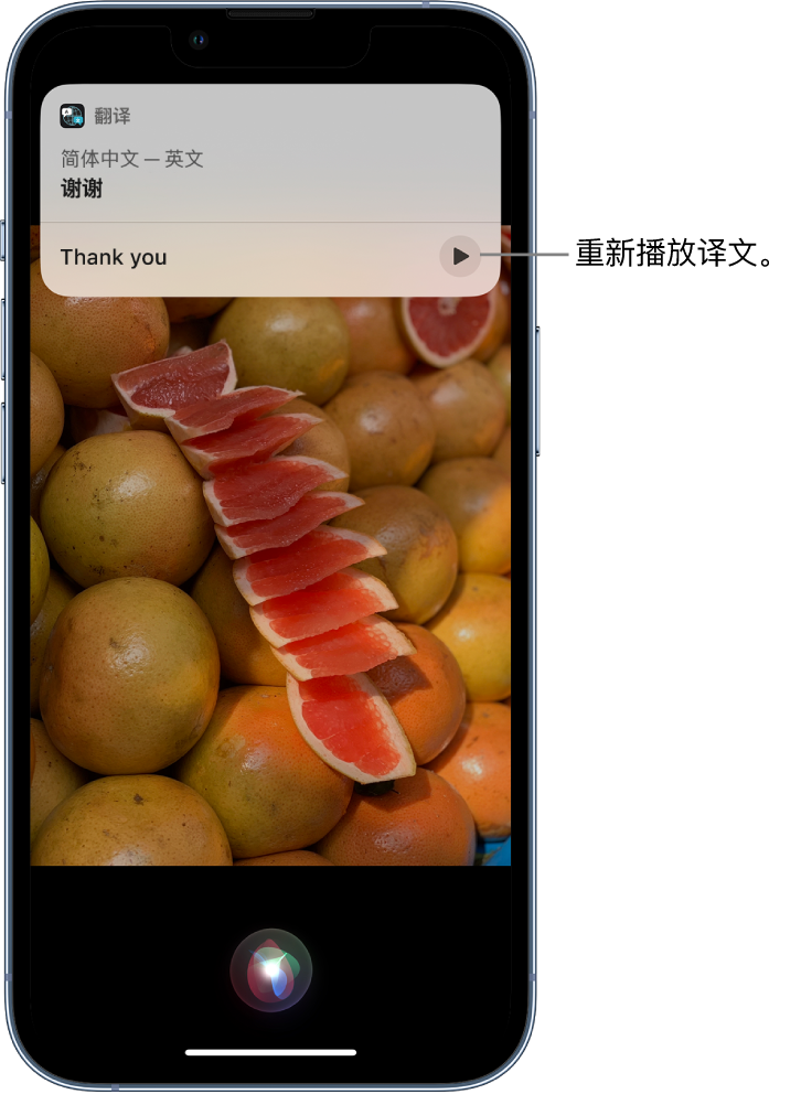 兰西苹果14维修分享 iPhone 14 机型中使用 Siri：了解 Siri 能帮你做什么 