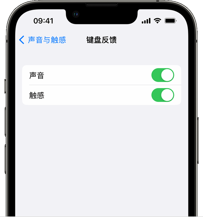 兰西苹果14维修分享iPhone 14 系列机型如何开启键盘声音或触感反馈 