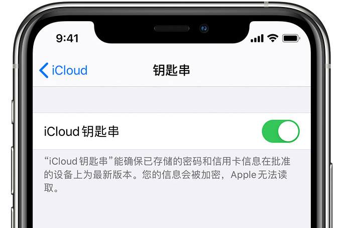 兰西苹果手机维修分享在 iPhone 上开启 iCloud 钥匙串之后会储存哪些信息 