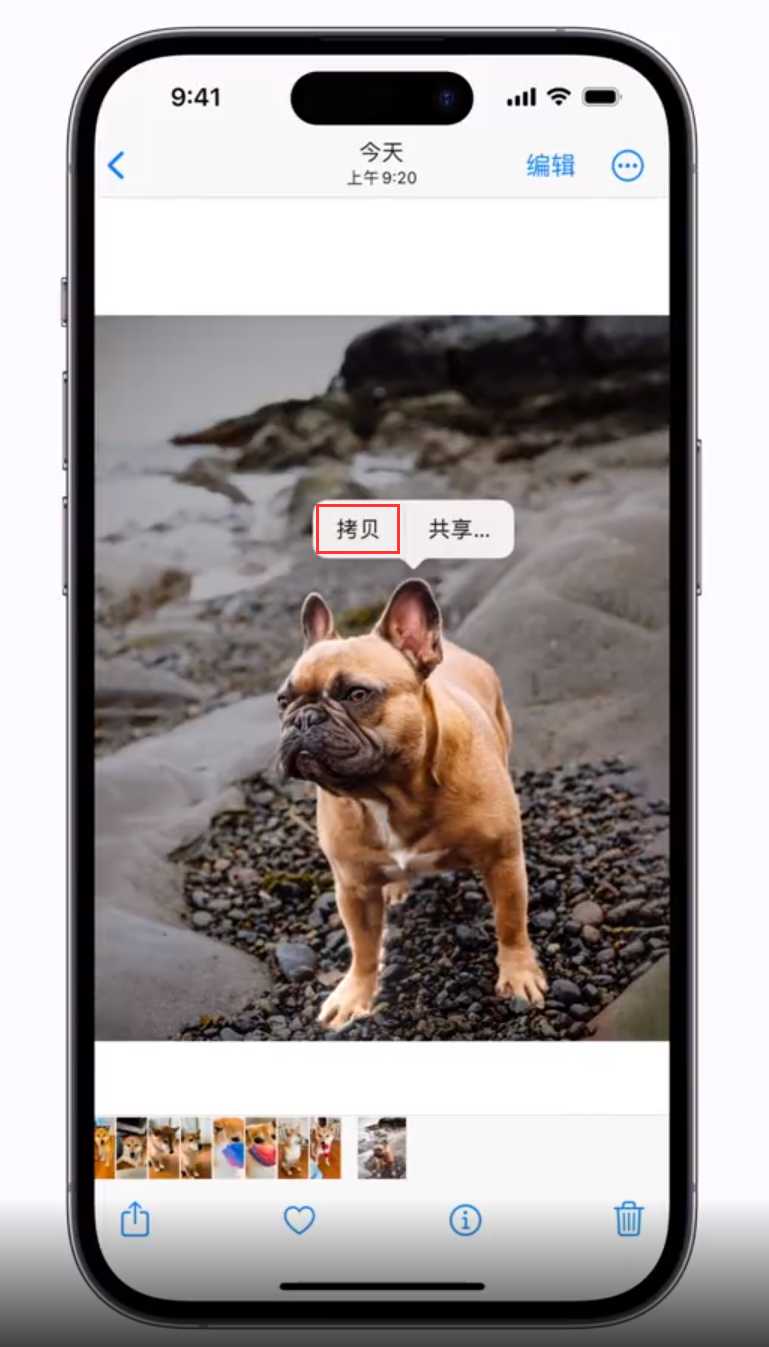 兰西苹果手机维修分享 iOS 16 自带一键抠图功能 