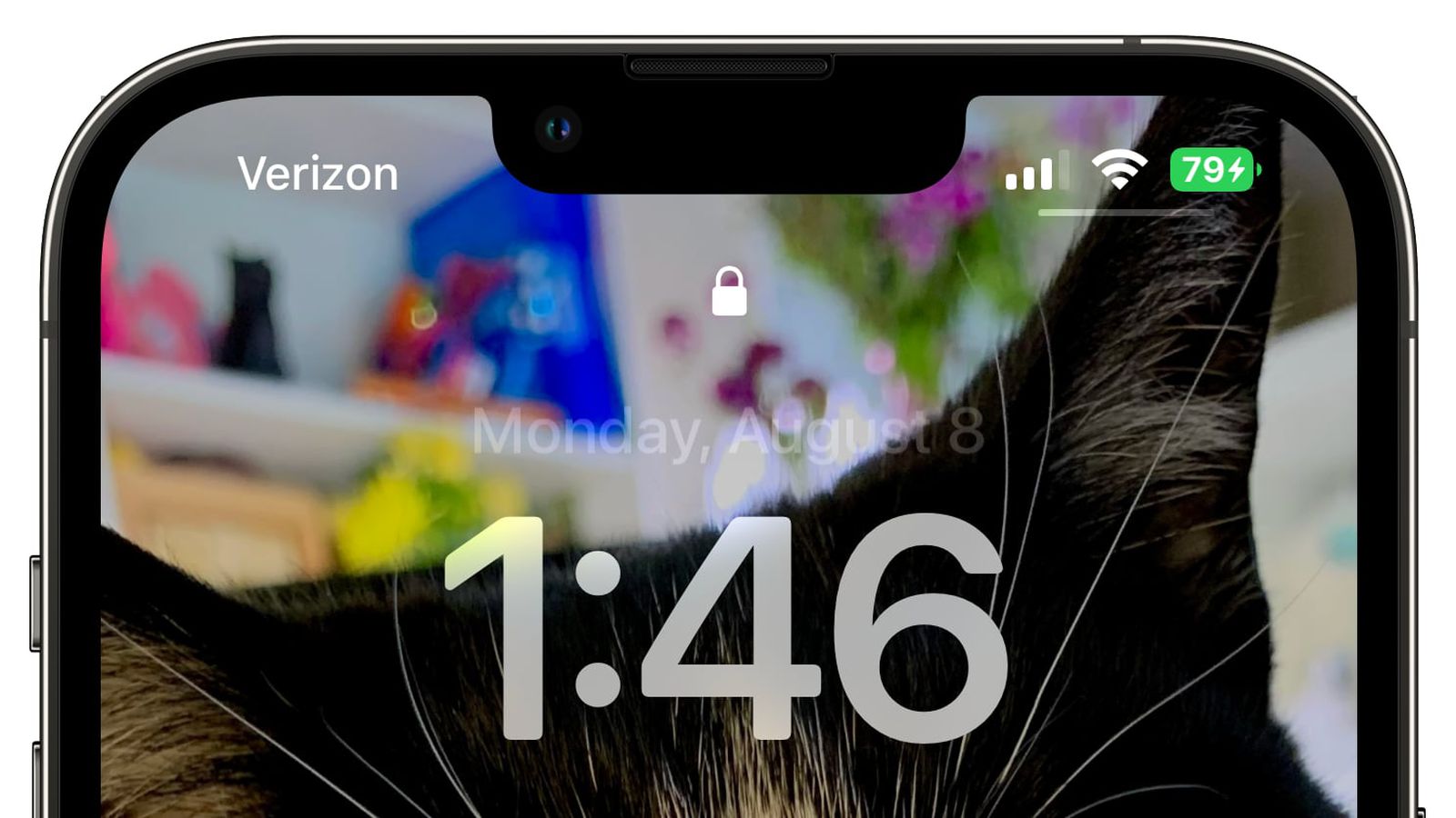 兰西苹果手机维修分享iOS 16 beta 5 支持状态栏显示电池百分比，如何开启？支持哪些机型 