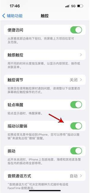兰西苹果手机维修分享iPhone手机如何设置摇一摇删除文字 