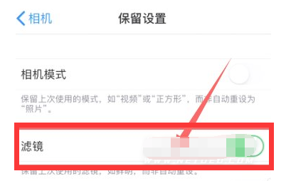 兰西苹果13维修分享iPhone13拍照有绿点是怎么回事 