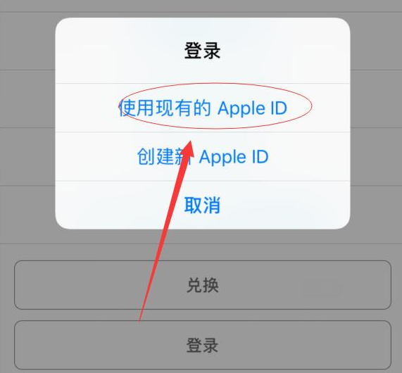 兰西苹果手机维修分享两台iPhone设备可以同时登录一个Apple ID吗 
