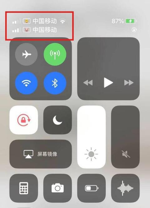 兰西苹果手机维修分享为 iPhone 12 双卡设置标签 